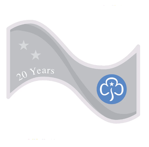 20 year cloth badge