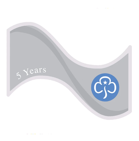 5 year cloth badge