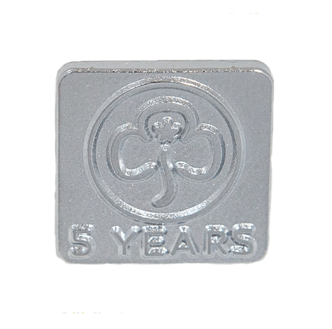 5 year metal badge