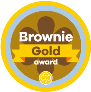 Brownie Gold Award