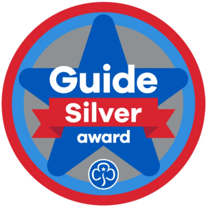 Guide Silver Award