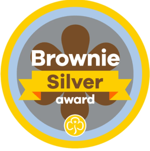 Brownie Silver Award