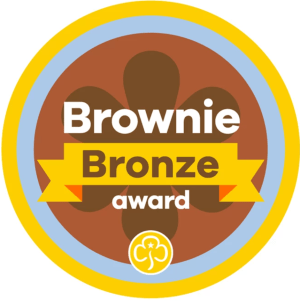 Brownie Bronze Award
