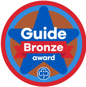 Guide Bronze Award