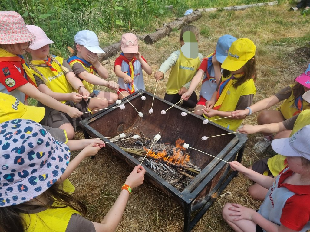 Browniew and Rainbows toast marshmallows around a fire