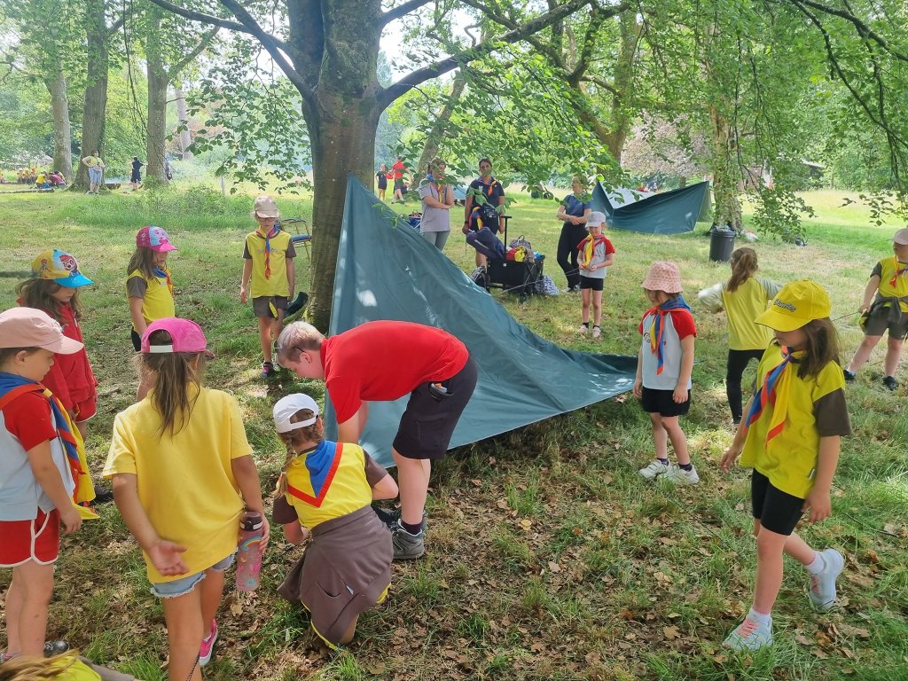 Rainbows and Brownies help make a shelter with tarpaulin tied to a tree