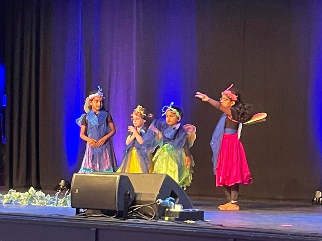 Girls dress as butterflies and perform on stage at Yeovil Together